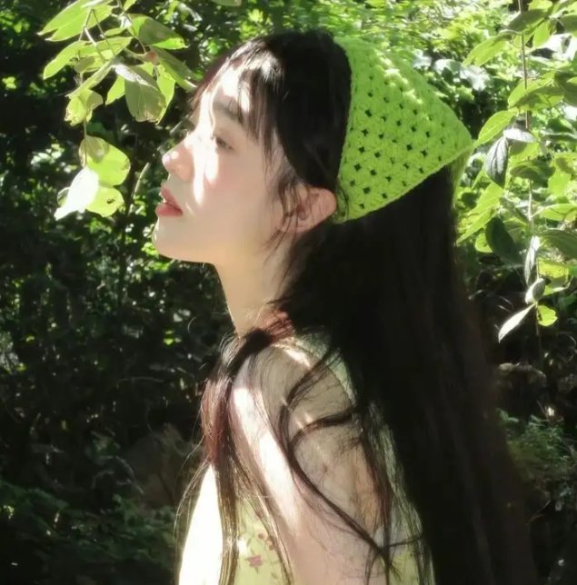 偷香圣手