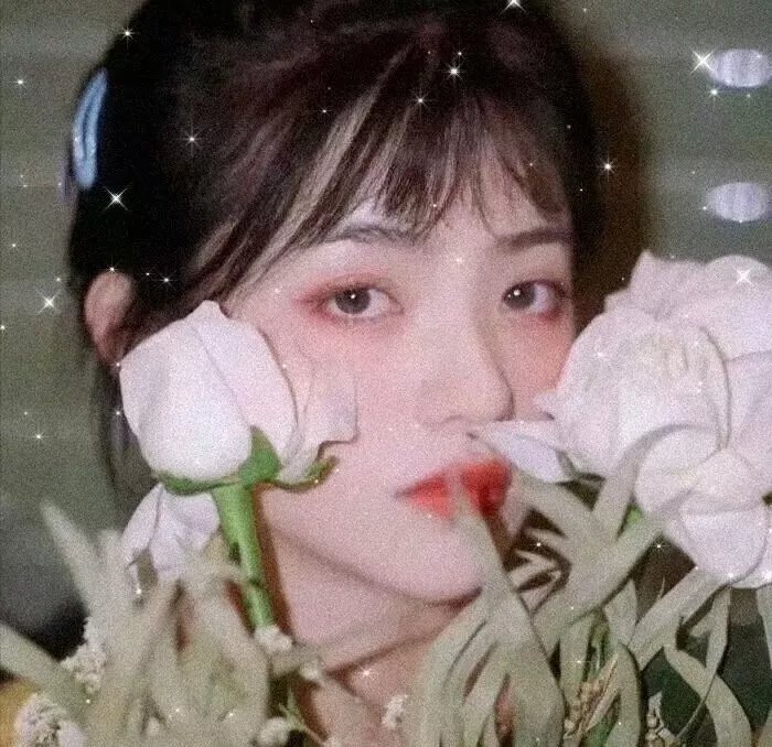 拯救大明星